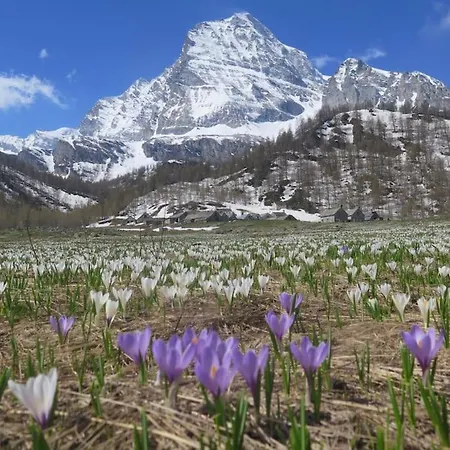 別荘 Casa Schiappo Montagna Natura E Relax.