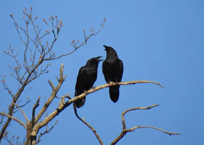 Casa Schiappo Montagna Natura E Relax. بيت للعطل *